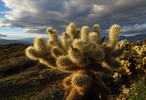 photo thumbnail #9