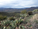photo thumbnail #13