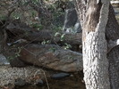photo thumbnail #9