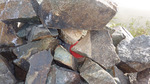 photo thumbnail #4