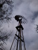 photo thumbnail #10