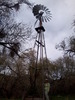 photo thumbnail #11