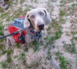 photo thumbnail #5