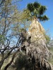 photo thumbnail #14