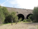 photo thumbnail #15