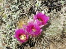 photo thumbnail #8