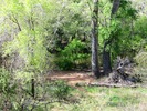 photo thumbnail #9