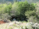 photo thumbnail #10