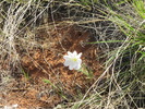 photo thumbnail #13