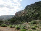 photo thumbnail #15
