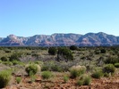 photo thumbnail #5