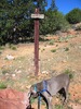 photo thumbnail #12