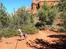 photo thumbnail #13