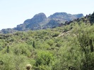 photo thumbnail #15