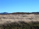 photo thumbnail #15