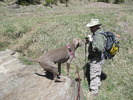photo thumbnail #6