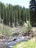 photo thumbnail #12