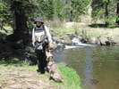 photo thumbnail #14