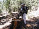 photo thumbnail #6