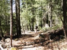 photo thumbnail #7