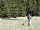 photo thumbnail #8
