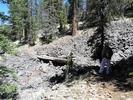 photo thumbnail #15