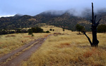 photo thumbnail #7