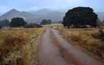 photo thumbnail #11