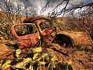 photo thumbnail #4