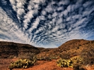 photo thumbnail #12