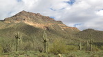 photo thumbnail #4