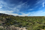 photo thumbnail #2