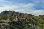 photo thumbnail #3