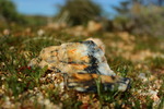 photo thumbnail #6