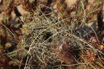 photo thumbnail #7
