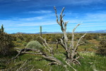 photo thumbnail #10