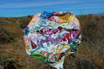 photo thumbnail #11