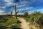 photo thumbnail #12