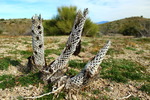 photo thumbnail #15