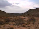 photo thumbnail #4