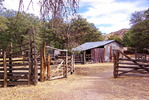 photo thumbnail #13