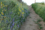 photo thumbnail #8