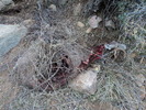 photo thumbnail #3