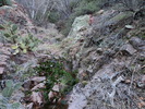 photo thumbnail #5