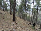 photo thumbnail #9