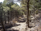 photo thumbnail #2