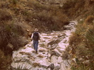 photo thumbnail #10