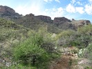 photo thumbnail #6