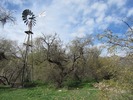 photo thumbnail #8