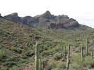 photo thumbnail #11